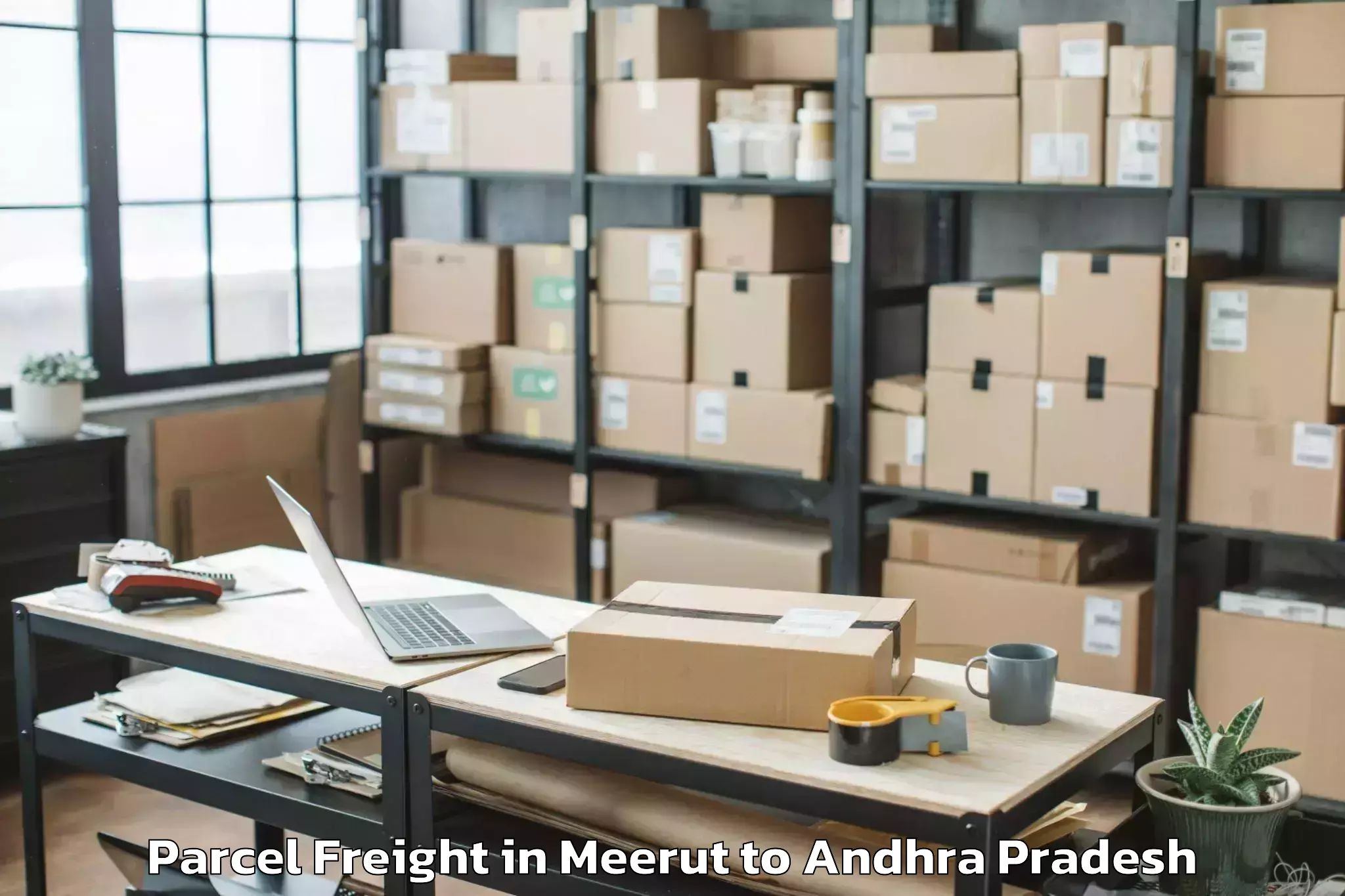 Discover Meerut to Mopidevi Parcel Freight